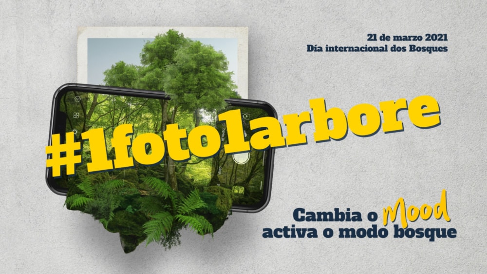 #1foto1arbore - cambia o mood